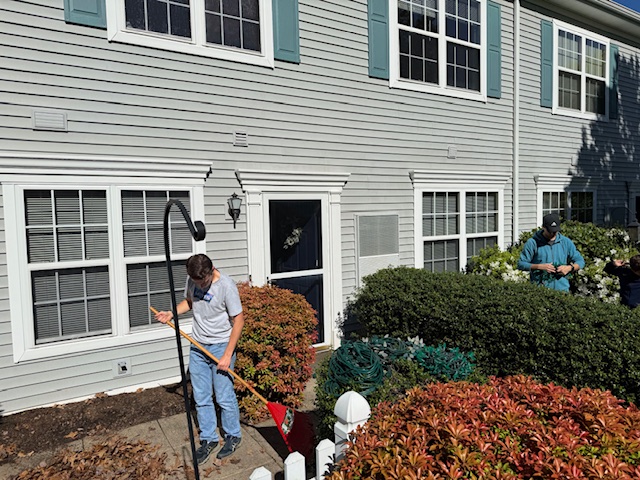 volunteer raking a pathway
