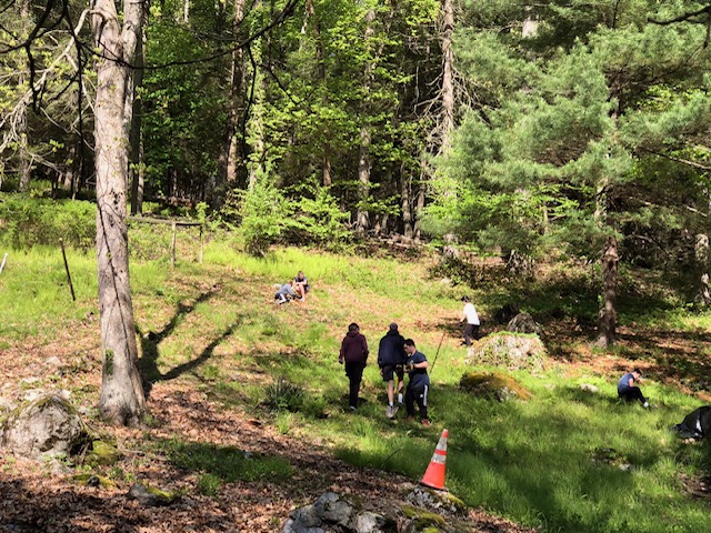 volunteers working in a wooded yard